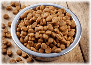 Mineraler och vitaminer i hundfodret
